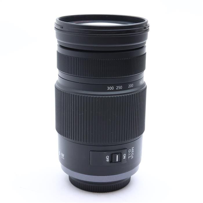 LUMIX G VARIO 100-300mm F4.0-5.6 MEGA O.I.S.