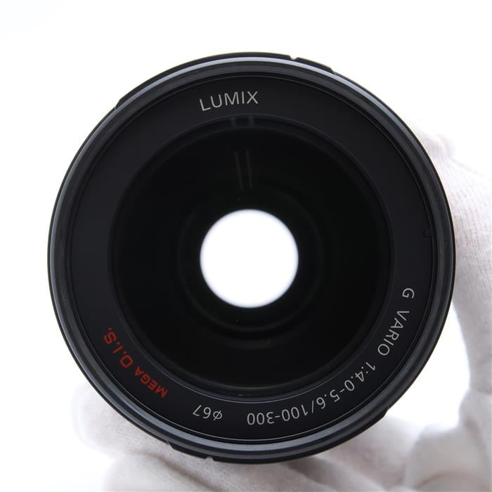 LUMIX G VARIO 100-300mm F4.0-5.6 MEGA O.I.S.