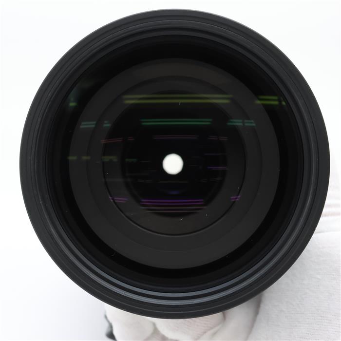 Sports 150-600mm F5-6.3 DG DN OS (ソニーE用/フルサイズ対応)