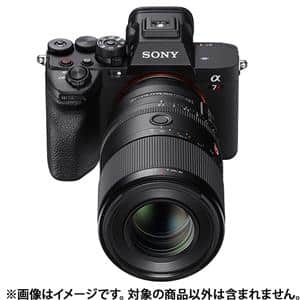 SONY (ソニー) FE 100mm F2.8 Macro GM OSS SEL100M28GM
