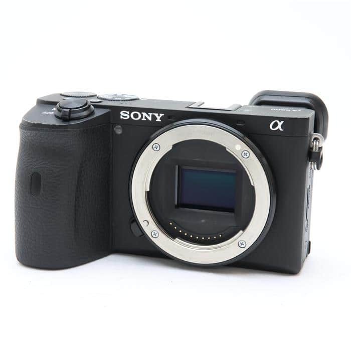 美品 α6600 ソニー ミラーレス 一眼 SONY APS-C FZ100
