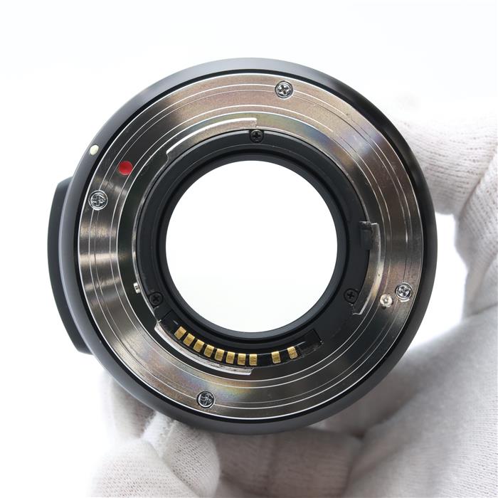 Art 35mm F1.4 DG HSM (シグマSA用)