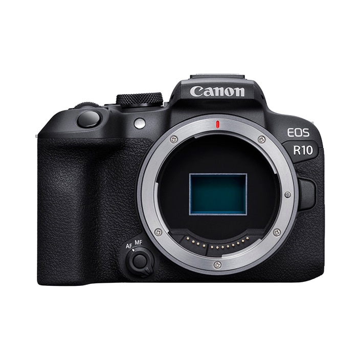 美品　eos r6 canon キャノン　三回使用　おまけ付