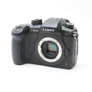 【ジャンク品】LUMIX GH5 ミラーレス一眼 LUMIX DC-GH5」「中古商品」の商品検索結果 | デジタルカメラ