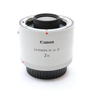 Canon EXTENDER EF 1.4x III 専用ケース付き Canon エクステンダー EF 1.4× ケース付き Canon EF 1.4x III Extender