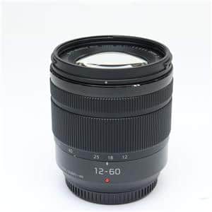 新品)Panasonic (パナソニック) LUMIX G VARIO 12-60mm F3.5-5.6