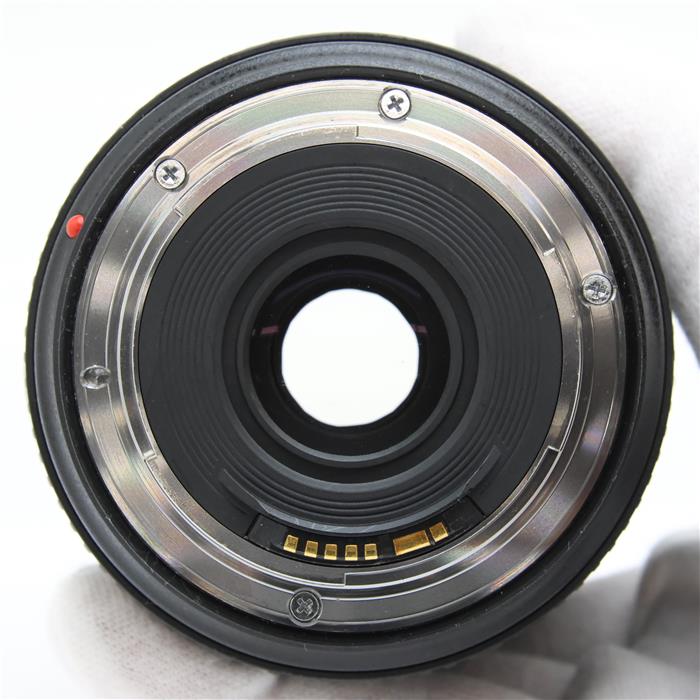 EF24-70mm F4L IS USM