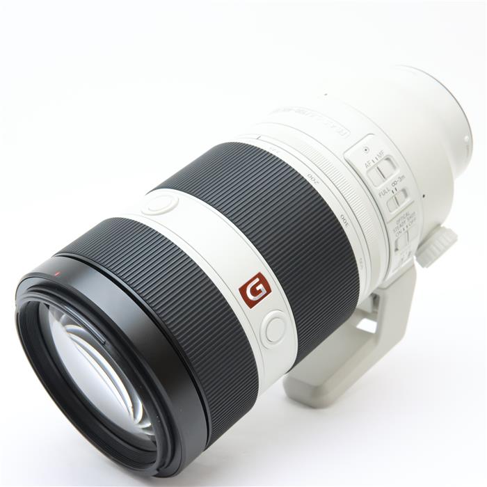 FE 100-400mm F4.5-5.6 GM OSS SEL100400GM