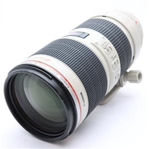 サ*ー様 更に更に値下げ。ボカシ表現Canon 200mm f2.8L Ⅱ 口径 サ*ー様 更に更に値下げ。ボカシ表現Canon 200mm f2.8L Ⅱ 口径 サ