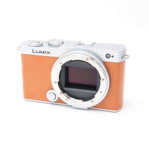 中古)Panasonic (パナソニック) LUMIX S9 ボディ DC-S9 キャメル