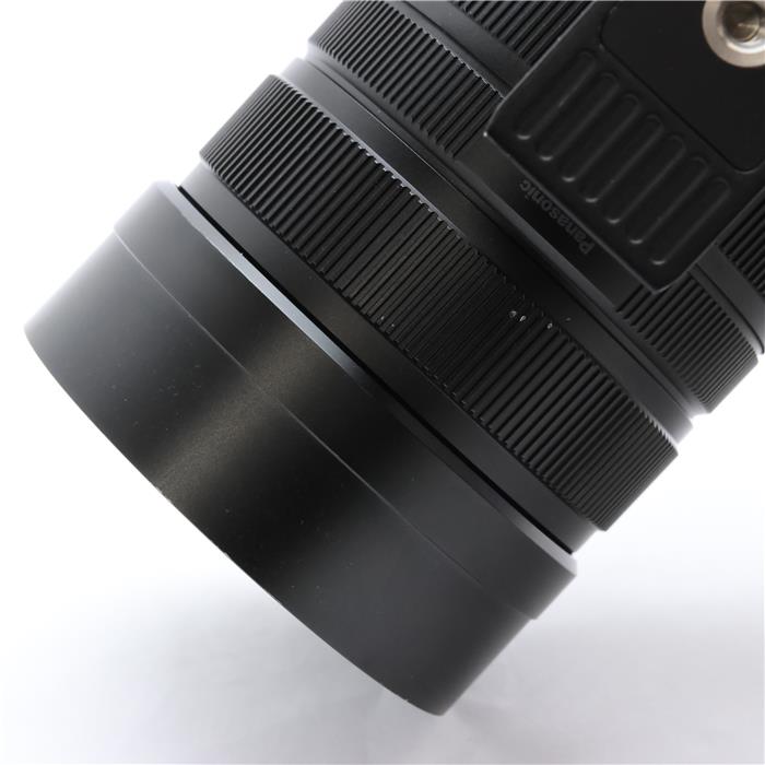 LEICA DG VARIO-ELMAR 100-400mm F4.0-6.3 II ASPH. POWER O.I.S.