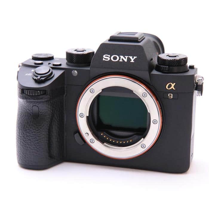 SONY α9 かなり綺麗です。