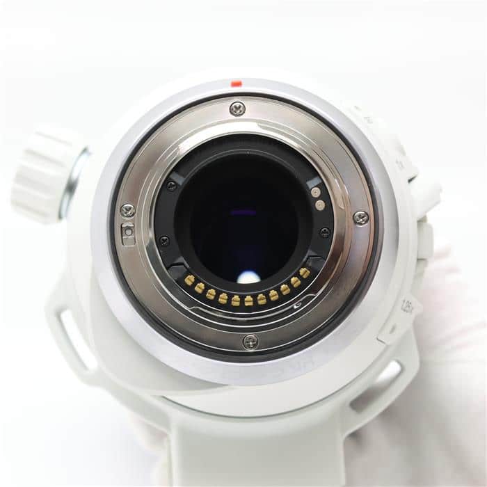 M.ZUIKO DIGITAL ED 150-400mm F4.5 TC1.25x IS PRO