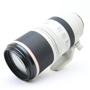 Canon (キヤノン) RF100-500mm F4.5-7.1 L IS USM メイン