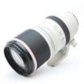 RF100-500mm F4.5-7.1 L IS USM