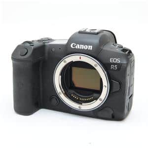 Canon (キヤノン) EOS R5 メイン