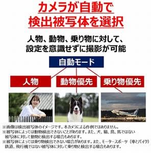 Canon (キヤノン) EOS R8 ボディ