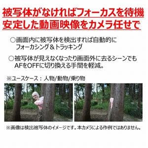 Canon (キヤノン) EOS R8 ボディ