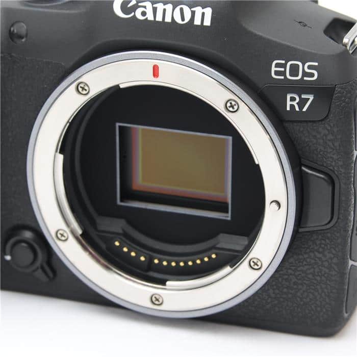 EOS R7 ボディ