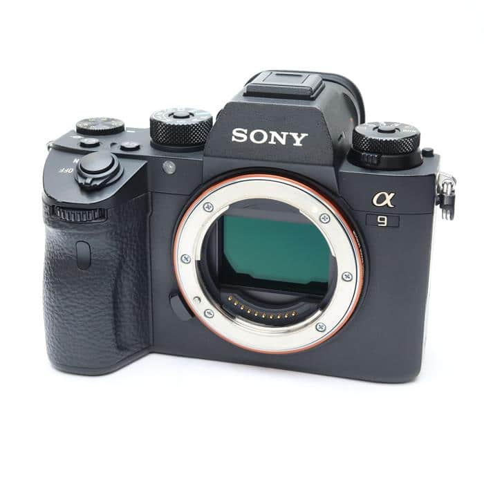 SONY -  SONY α9 ILCE-9 高速連写 ボディ おまけ SONY α9 ILCE-9 高速連写 ボディ おまけ