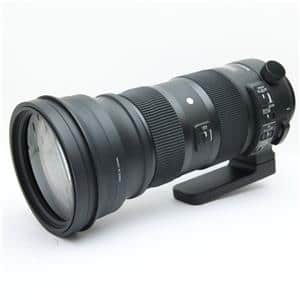 SIGMA シグマ 150-600mm F5-6.3 Sports ニコンF用 150-600mm F5-6.3 DG DN OS | Sports | レンズ | 製品 | Sigma