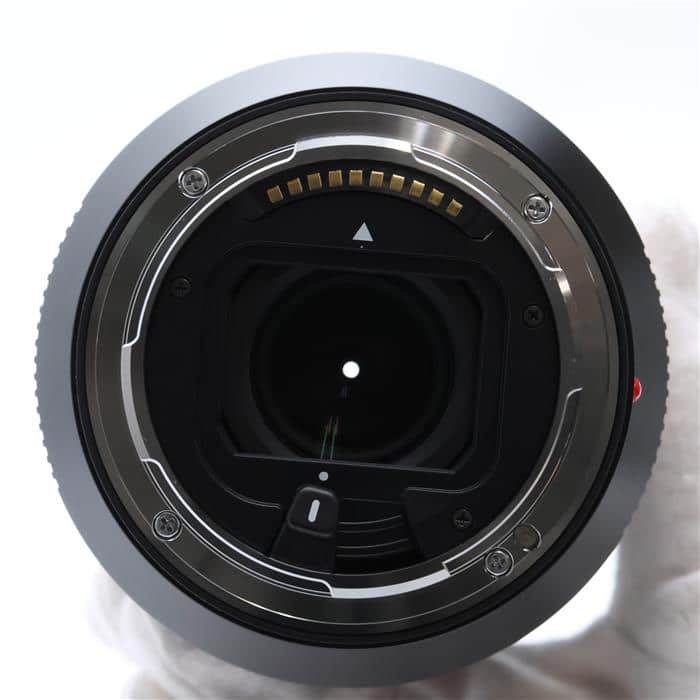 スーパー・バリオ・エルマリート SL14-24mm F2.8 ASPH.