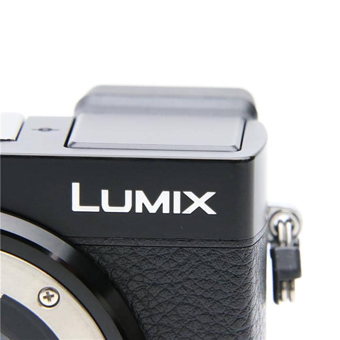 LUMIX GX7 Mark III ボディ DC-GX7MK3