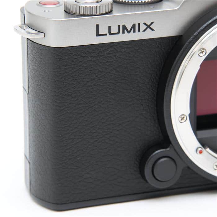 LUMIX S9 高倍率ズームレンズキット DC-S