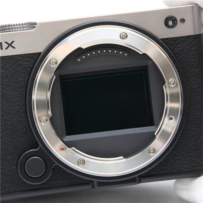 LUMIX S9 高倍率ズームレンズキット DC-S