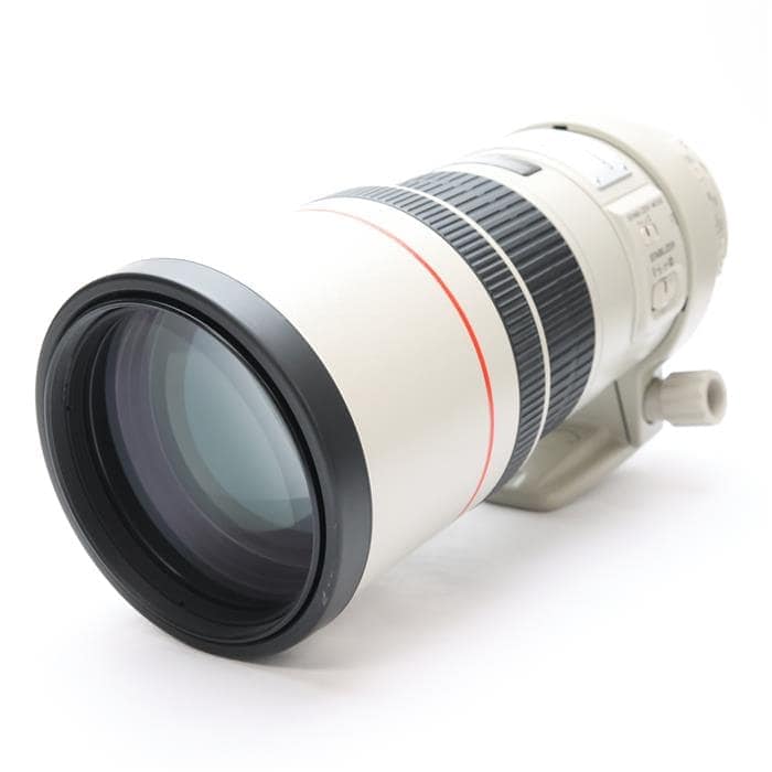 EF300mm F4L IS USM