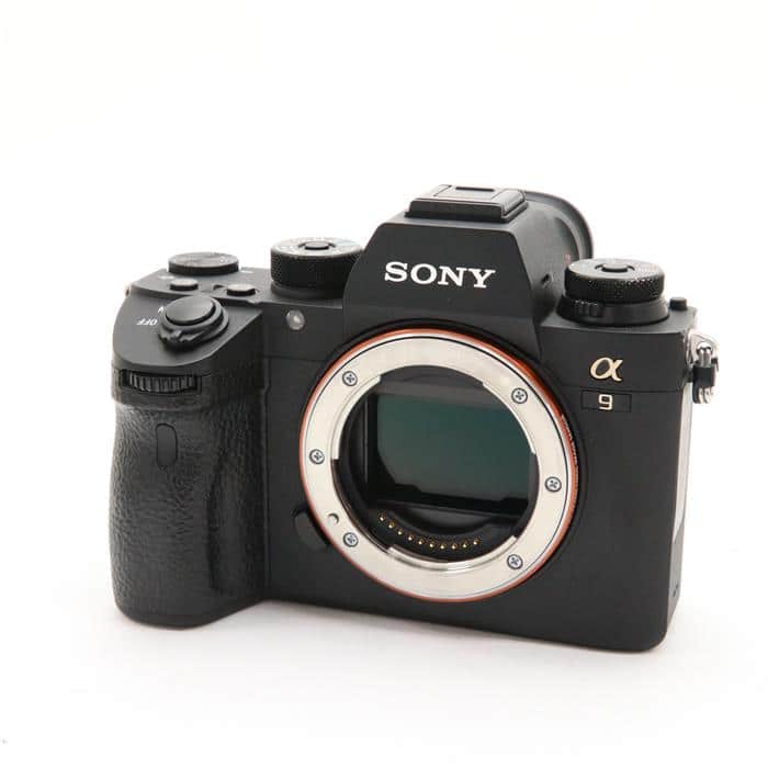 SONYミラーレス用単焦点レンズ55mm F1.4 ボケ味最高！サードパーティ製