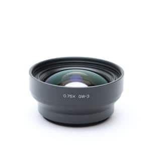 RICOH ワイドコンバージョンレンズ gw-3」の商品検索結果 | デジタル