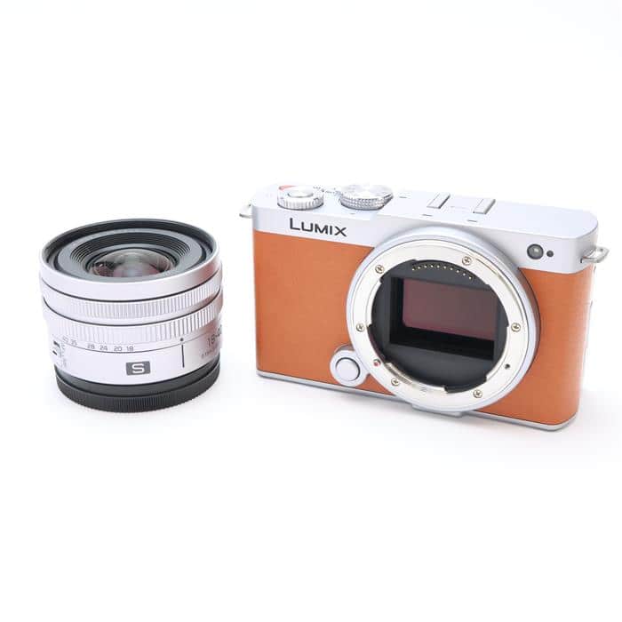 LUMIX S9 広角ズームレンズキット DC-S9N-D