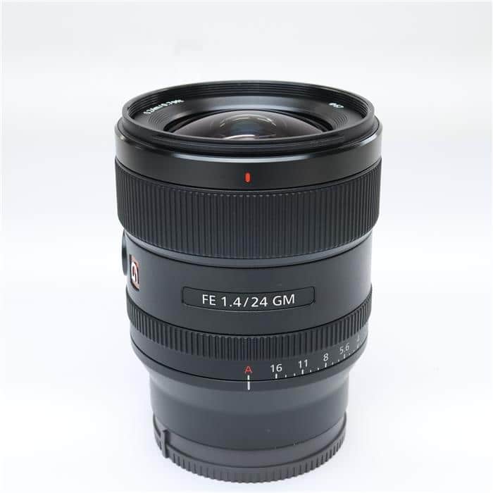 FE 24mm F1.4 GM SEL24F14GM