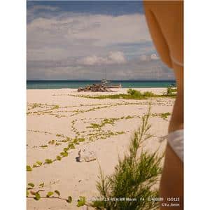 FUJIFILM (フジフイルム) フジノン XF30mm F2.8 R LM WR MACRO