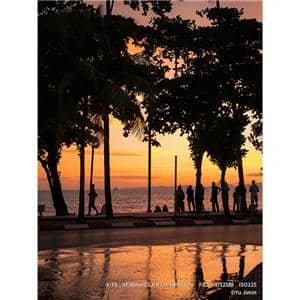 FUJIFILM (フジフイルム) フジノン XF30mm F2.8 R LM WR MACRO