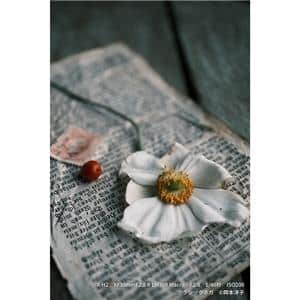 FUJIFILM (フジフイルム) フジノン XF30mm F2.8 R LM WR MACRO