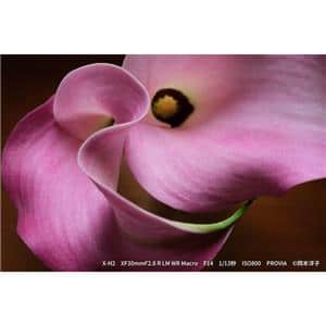 FUJIFILM (フジフイルム) フジノン XF30mm F2.8 R LM WR MACRO