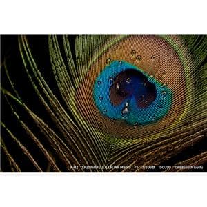 FUJIFILM (フジフイルム) フジノン XF30mm F2.8 R LM WR MACRO