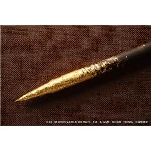 FUJIFILM (フジフイルム) フジノン XF30mm F2.8 R LM WR MACRO