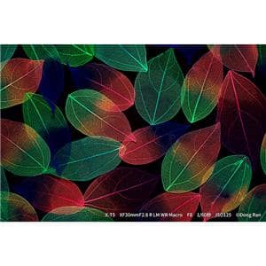 FUJIFILM (フジフイルム) フジノン XF30mm F2.8 R LM WR MACRO