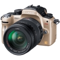 Panasonic (パナソニック) LUMIX DMC-GH1Kレンズキット ゴールド