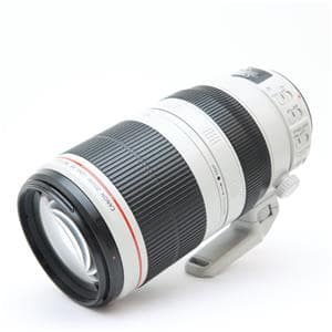 Canon (キヤノン) EF100-400mm F4.5-5.6L IS II USM メイン