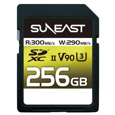 【サイズ:256GB】SUNEAST microSD 256GB 読取最大180