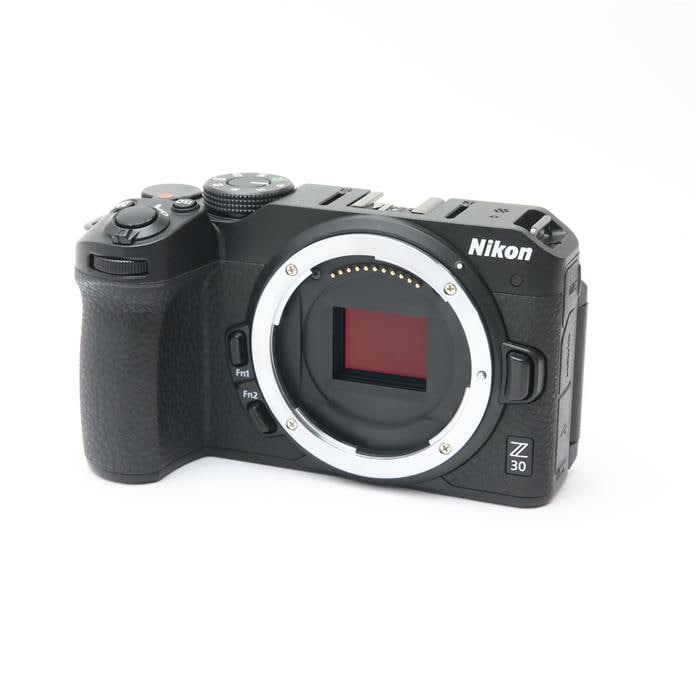Z30 ボディ