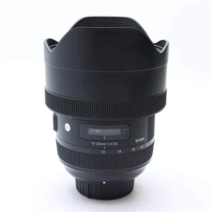 Art 12-24mm F4 DG HSM (ニコンF用)