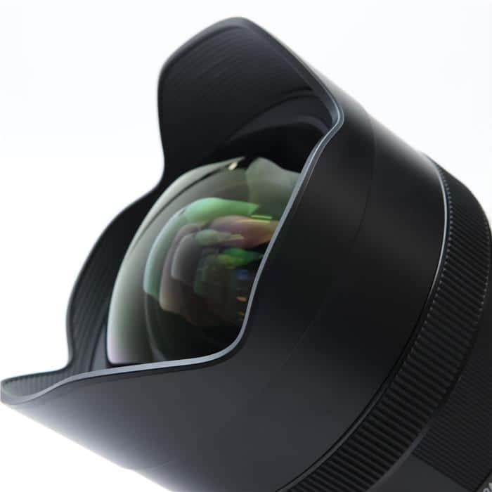 Art 12-24mm F4 DG HSM (ニコンF用)