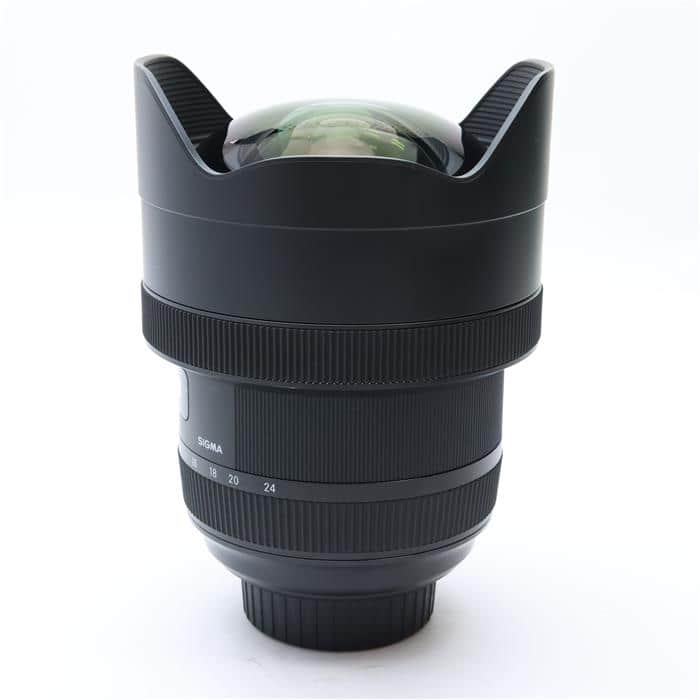 Art 12-24mm F4 DG HSM (ニコンF用)
