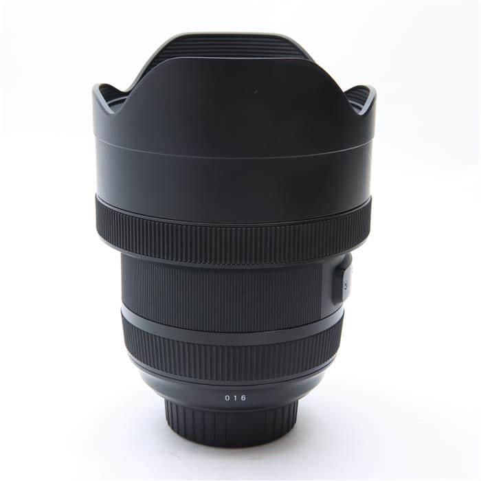 Art 12-24mm F4 DG HSM (ニコンF用)