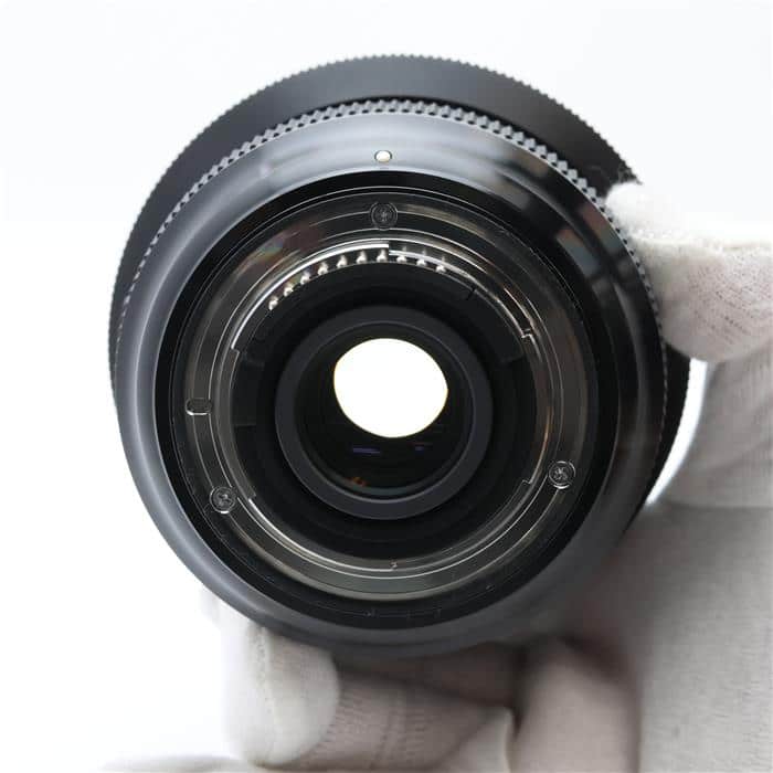 Art 12-24mm F4 DG HSM (ニコンF用)